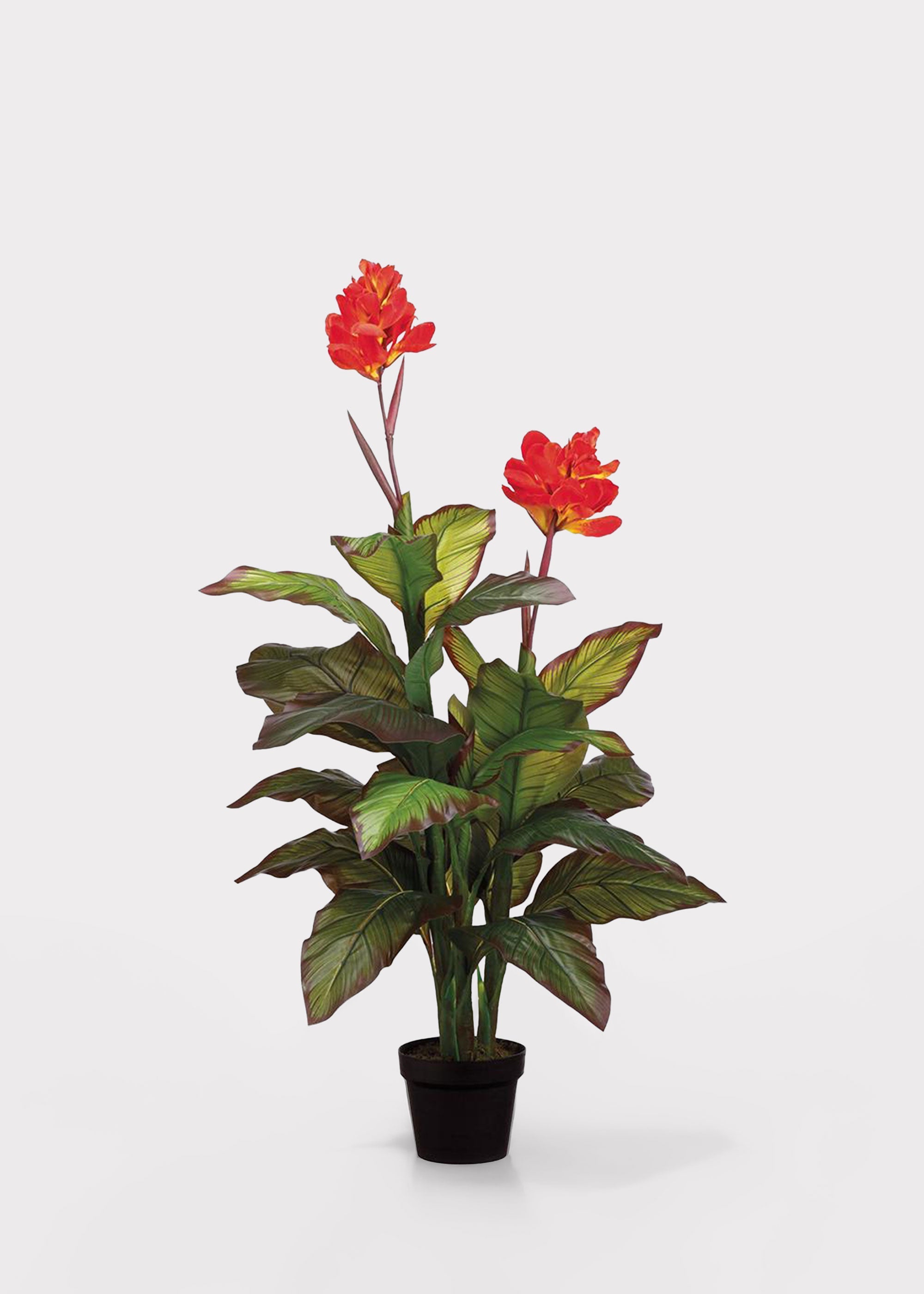 Red Fake Potted Blooming Tropical Canna Floor Plant - 48"