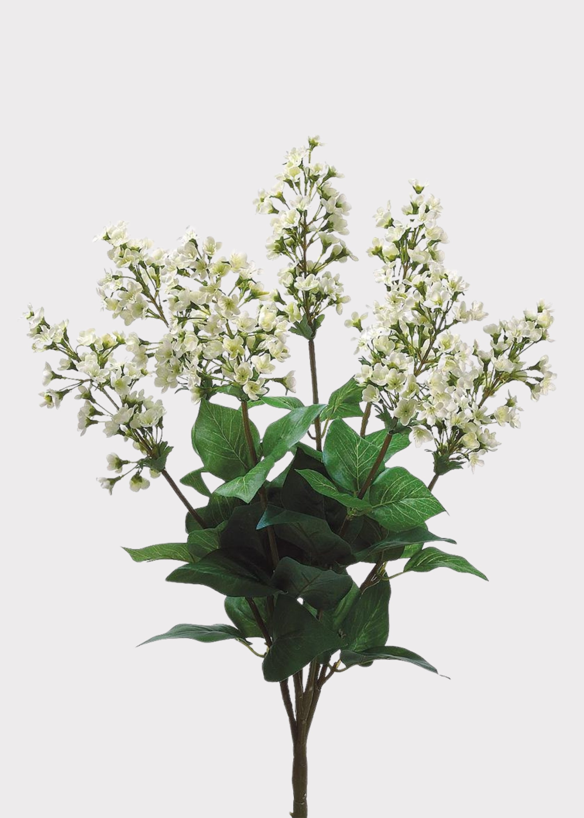 Artificial Bouvardia Flower Bush in Cream - 23"