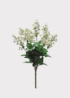 Artificial Bouvardia Flower Bush in Cream - 23"