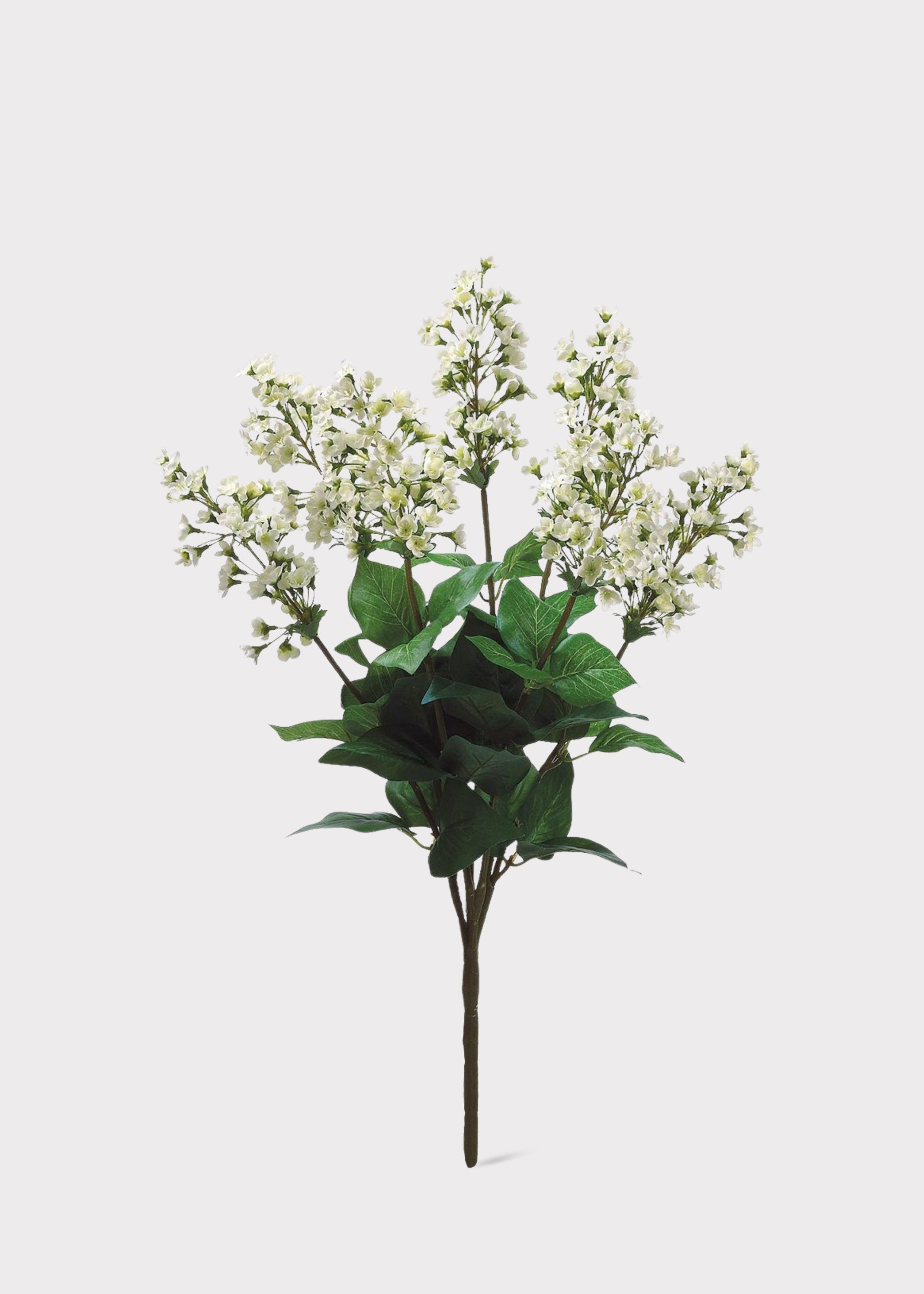 Artificial Bouvardia Flower Bush in Cream - 23"