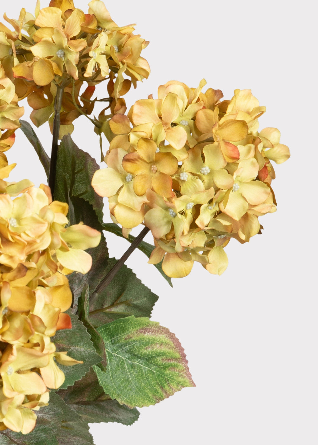 SAVE - Vintage Antique Green Fake Hydrangea Bush - 20"