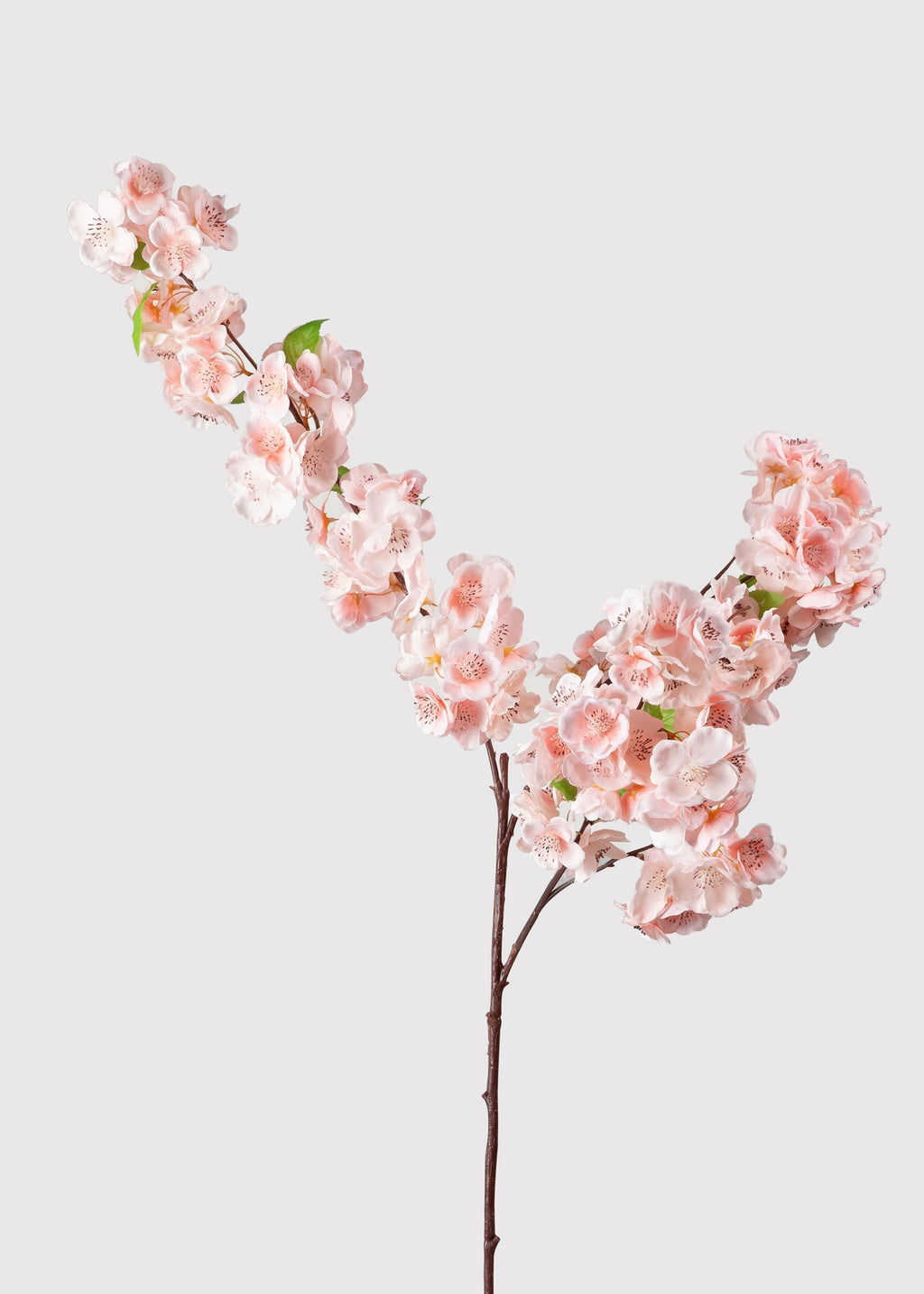 Faux Cherry Blossom in Pink - 44"