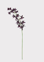 Artificial Cymbidium Orchid in Plum - 38"