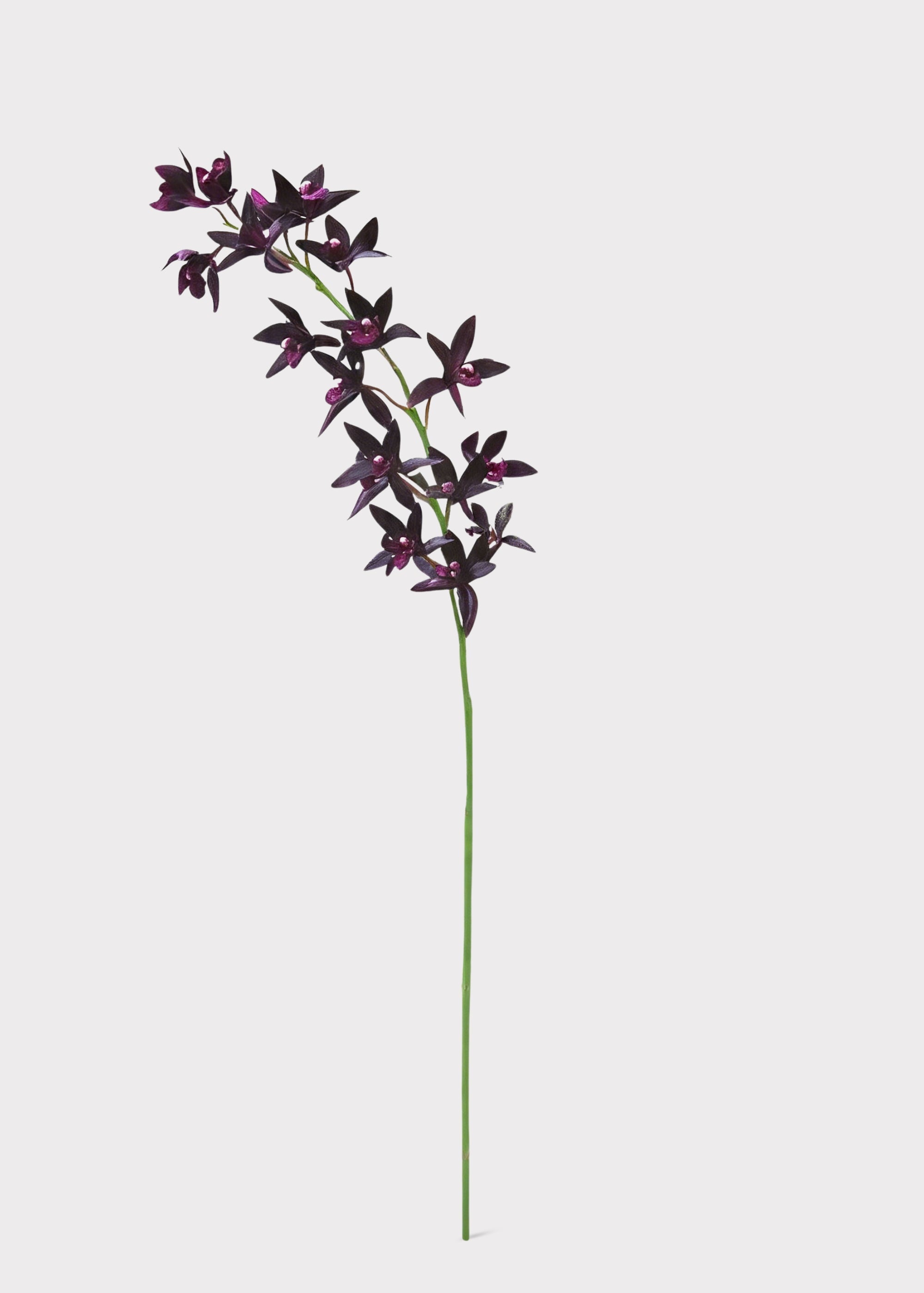 Artificial Cymbidium Orchid in Plum - 38"