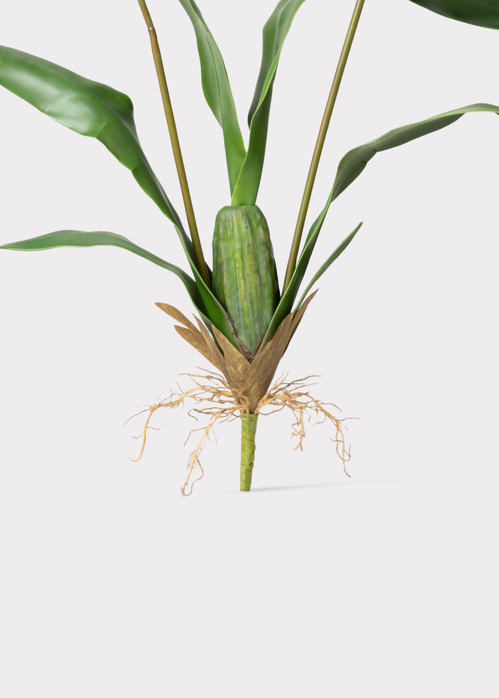 Tall Artificial Blooming Brassia Orchid Plant - 52"