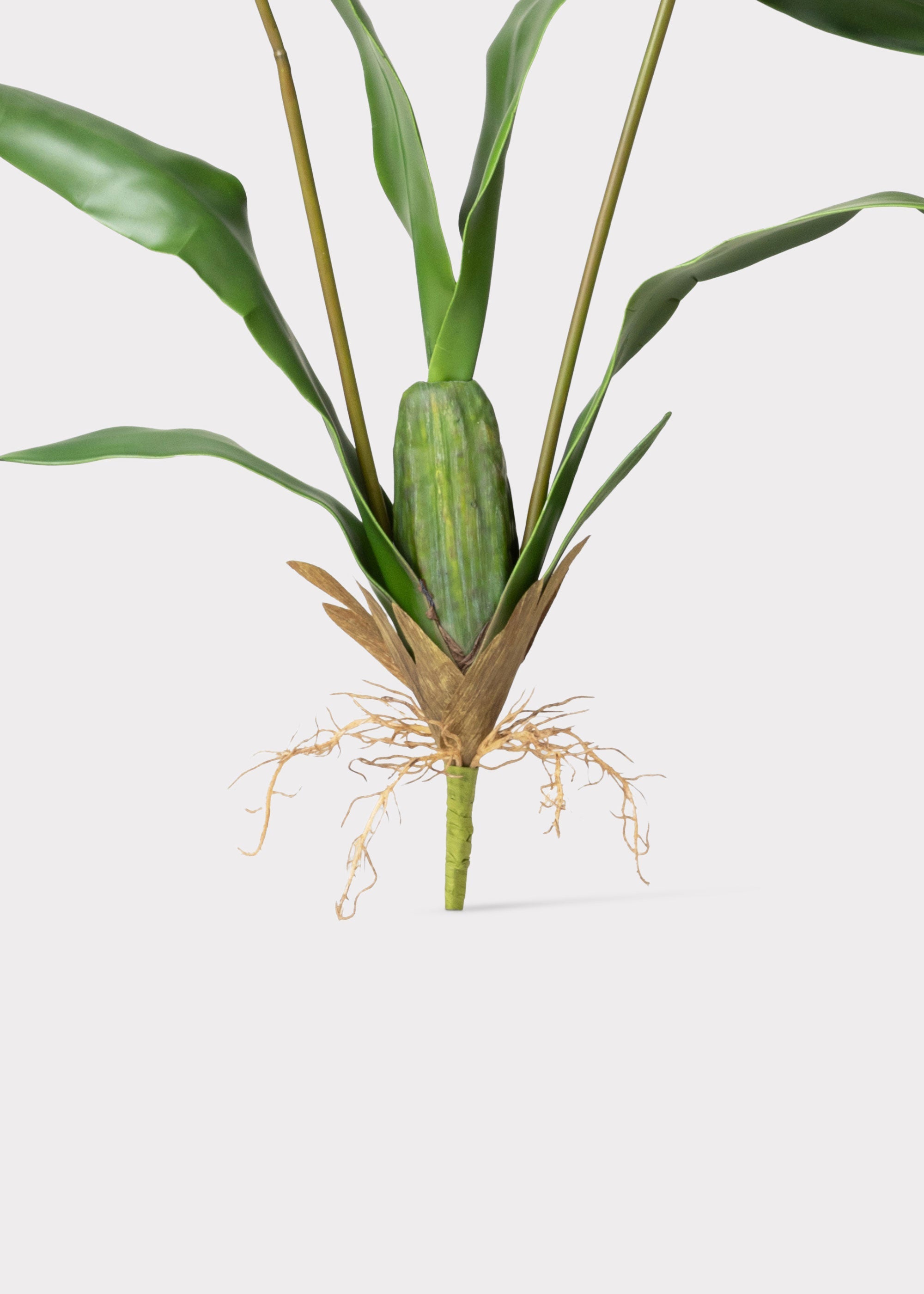 Tall Artificial Blooming Brassia Orchid Plant - 52"