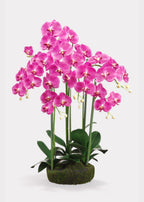 Hot Purple Fuchsia Large Fake Orchid Drop-In Plant - 39"