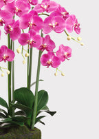 Hot Purple Fuchsia Large Fake Orchid Drop-In Plant - 39"