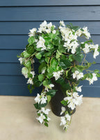 UV Treated Indoor/Outdoor Cream Fake Bougainvillea Hanging Bush - 42"