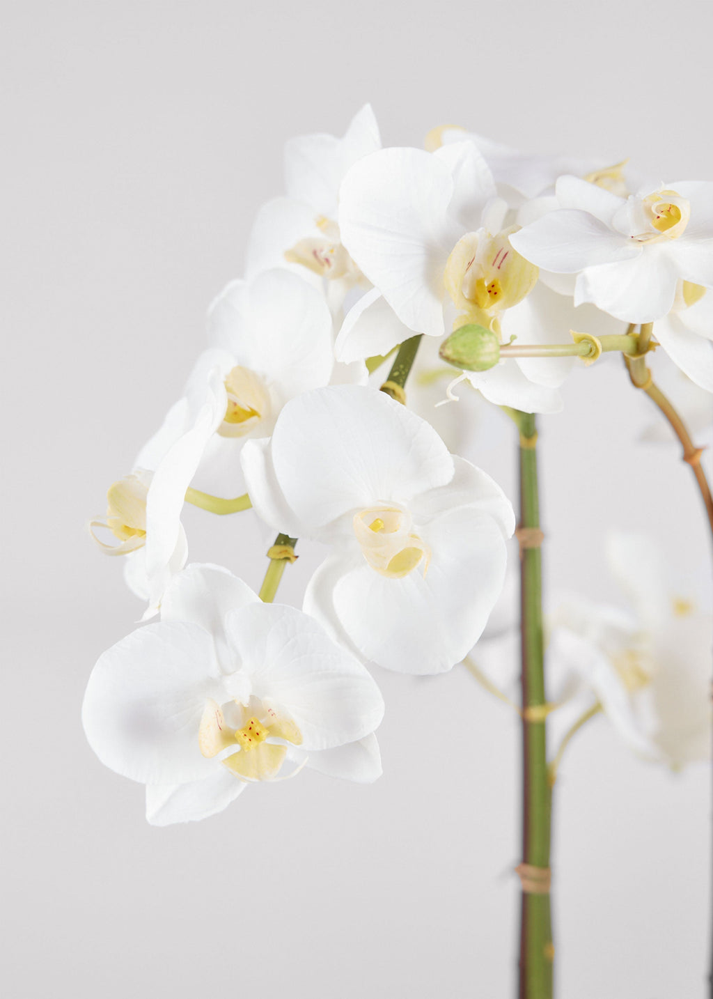 Potted Faux White Orchid Arrangement - 24"