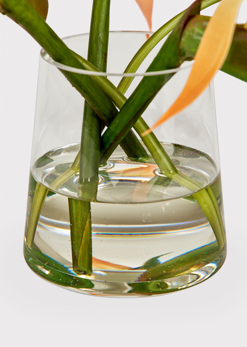 Faux Tropical Bird of Paradise Arrangement in Glass Vase - 11"