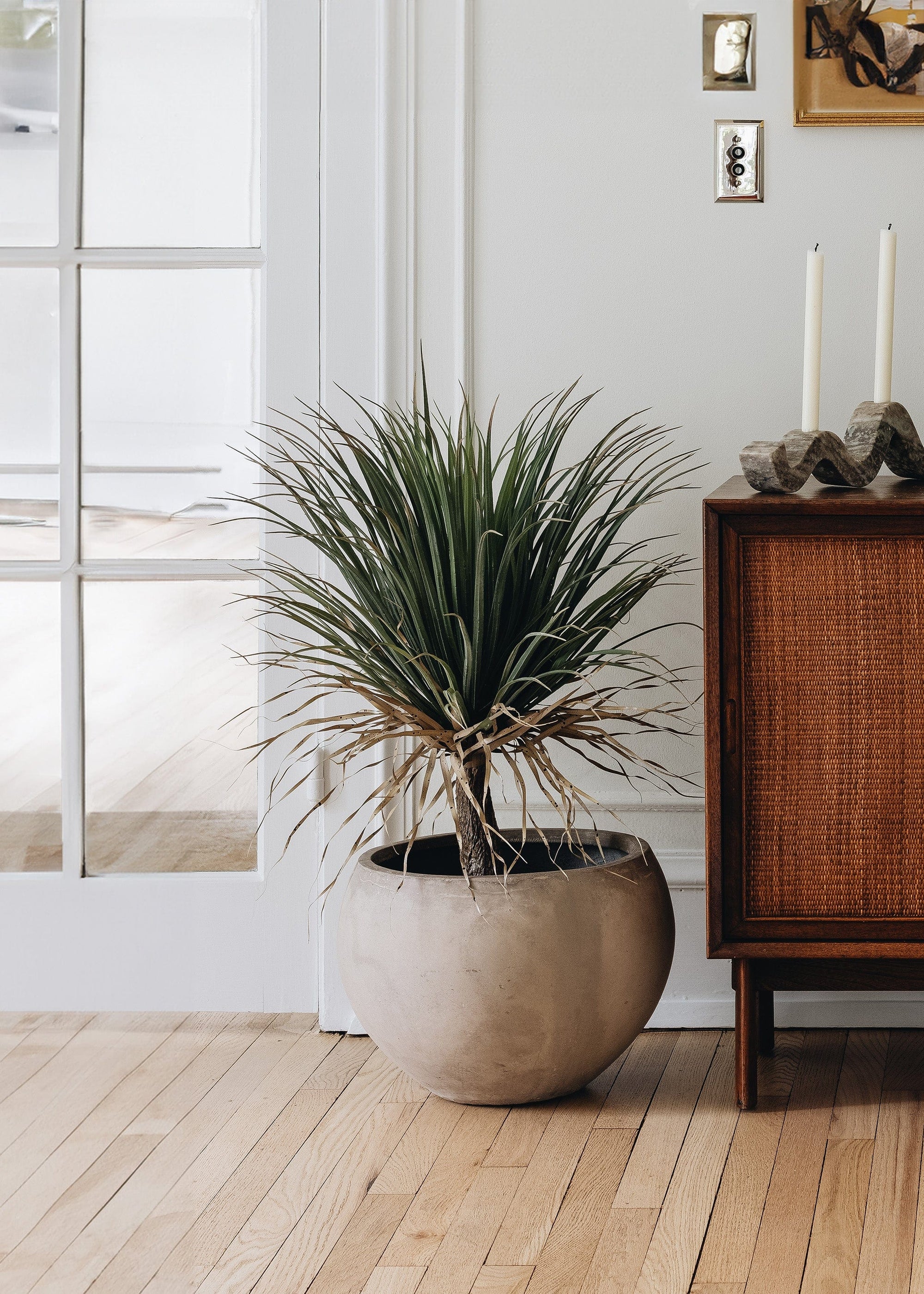 Faux Potted Palm Tree Plant in Cement Planter - 40"